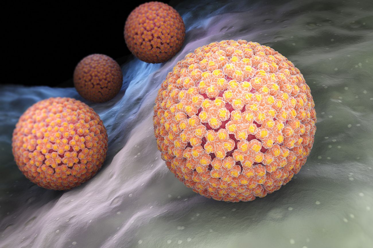 HPV należy do bardzo kancerogennych wirusów.