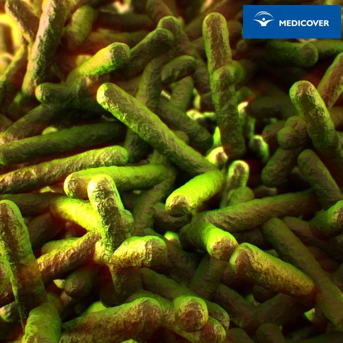 Bakteria Listeria monocytogenes