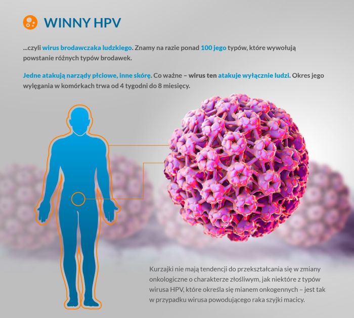 Za powstawanie brodawek wirusowych odpowiada wirus HPV