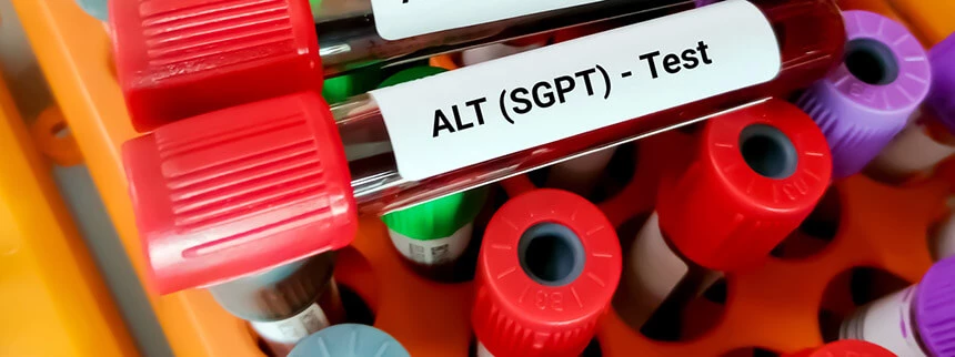 Badanie ALT jest wskaźnikiem uszkodzenia wątroby. Podwyższony poziom ATL wymaga podjęcia natychmiastowych działań w celu oceny stopnia uszkodzenia wątroby.