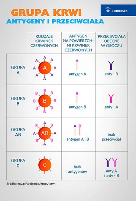 Rodzaje grup krwi, obecność antygenu i przeciwciał anty.