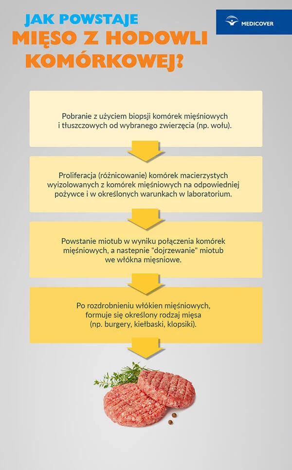 Jak powstaje mięso z hodowli komórkowej?