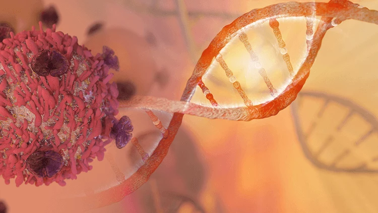 Badania genetyczne pozwalają na określenie wystąpienia ryzyka nowotworów (np. raka jelita grubego, raka szyjki macicy). 