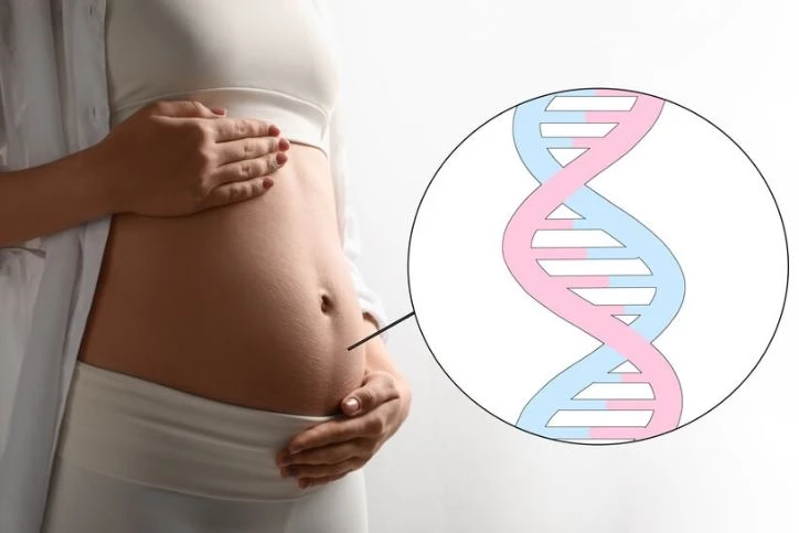 Zespół Patau jest chorobą, której pierwsze objawy można wykryć już na etapie ciąży. Badania prenatalne wykorzystuje się m.in. do oceny chromosomów i zidentyfikowania dodatkowego egzemplarza chromosomu 13 bądź innych aberracji chromosomowych.