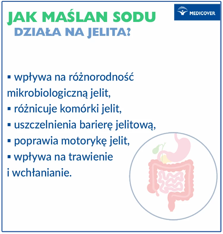Działanie maślanu sodu na jelita.Grafika: Pikovit / Shutterstock