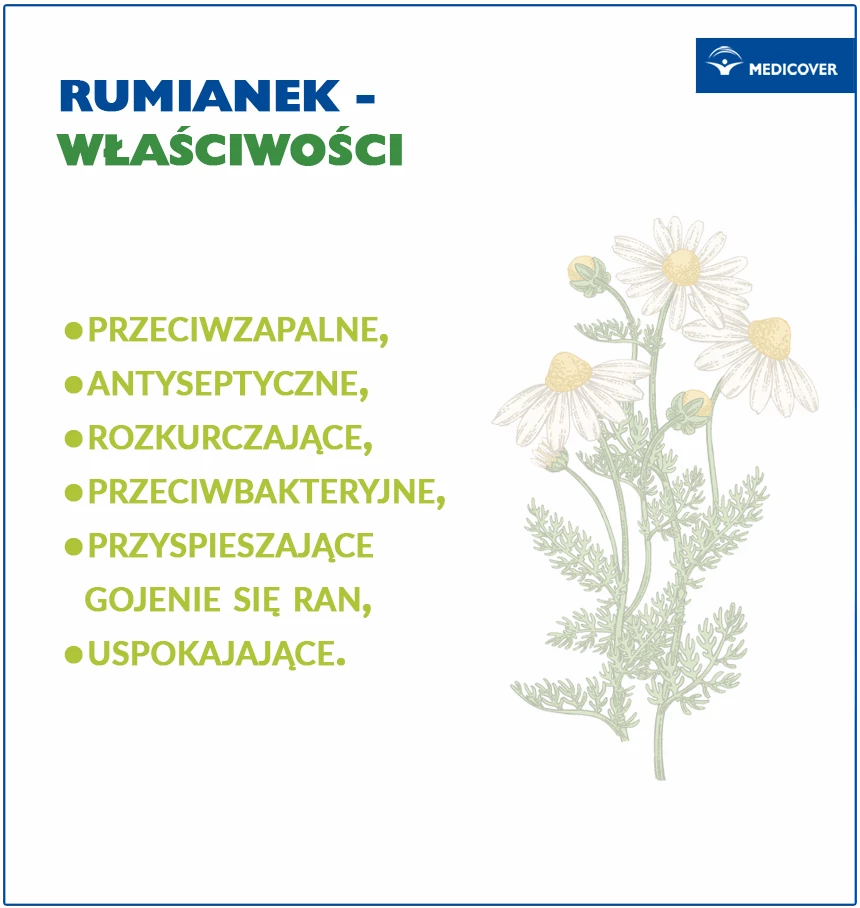 Jakie właściwości ma rumianek?