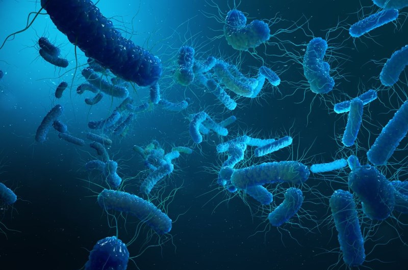 Klebsiella pneumoniae - objawy i&nbsp;leczenie zakażenia pałeczką zapalenia płuc