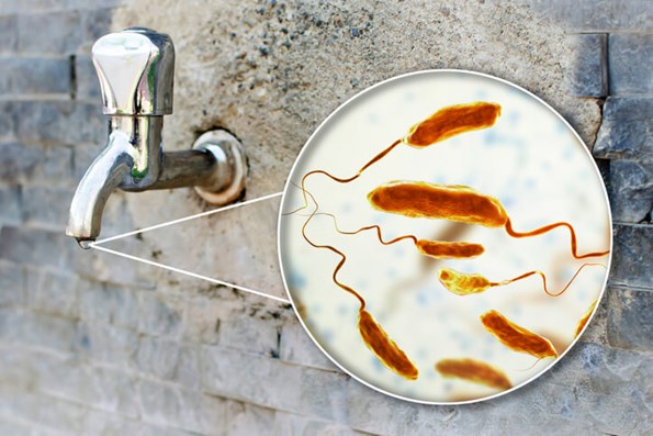 objawy cholera