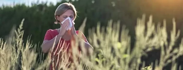 Alergia na trawy. Wysokie stężenie pyłków traw odnotowuje się od końca maja do połowy lipca.
