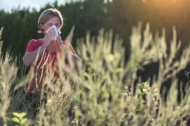 Pylenie traw – jak sobie z radzić z alergią na pyłki traw