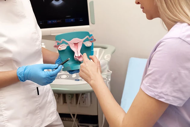 Disease - endometrial cancer