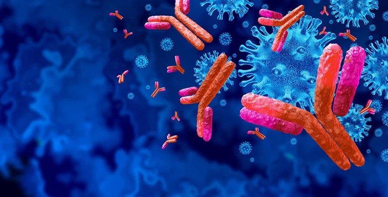 serologia przeciwciala antygeny