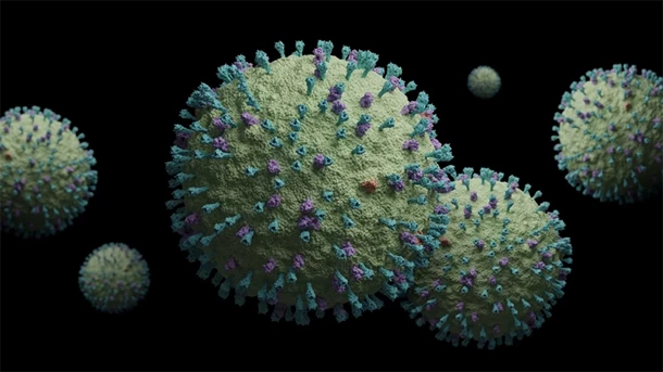 metapneumowirus-hmpv-co-to