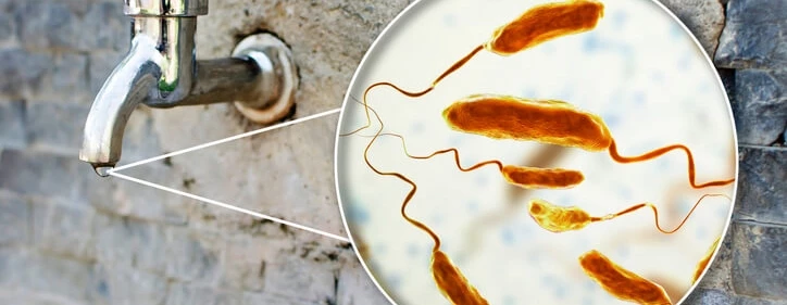 objawy cholera