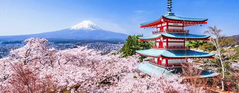japonia-szczepienia