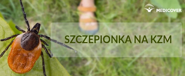 szczepienie na kleszczowe zapalenie mózgu