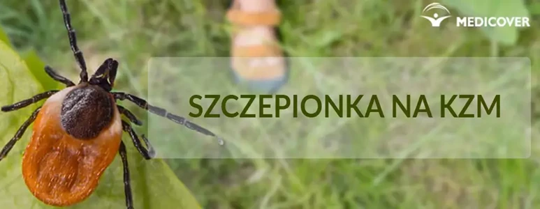 szczepienie na kleszczowe zapalenie mózgu