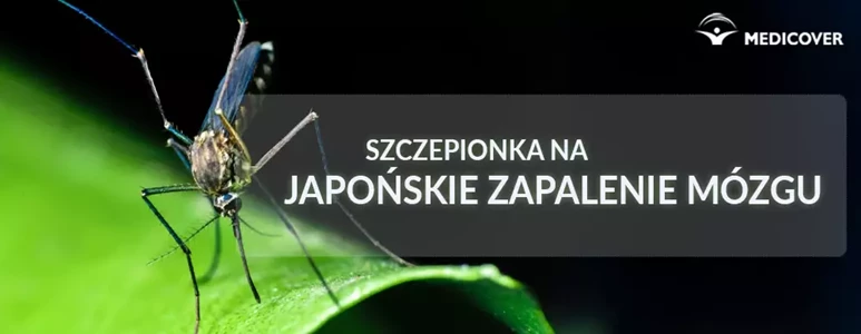 japonskie zapalenie mozgu szczepienie