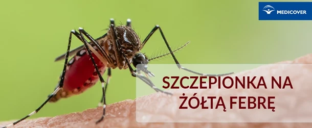 szczepienie żółta febra