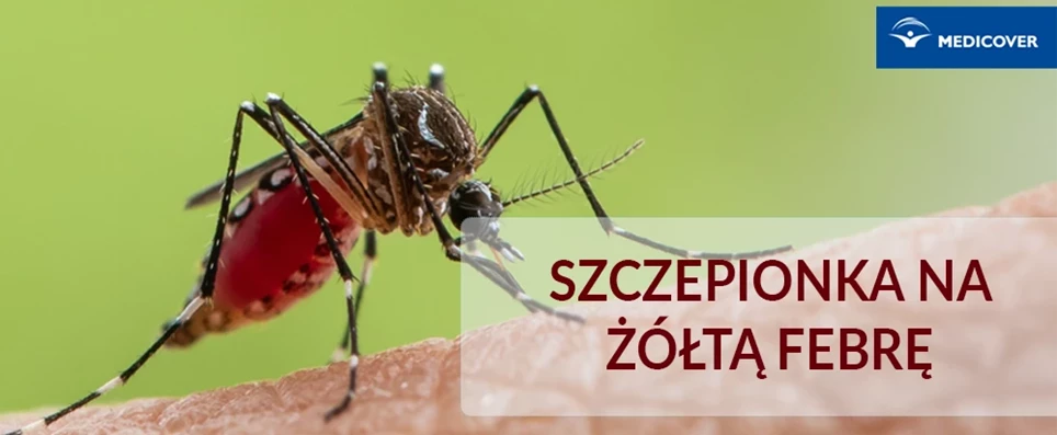 szczepienie żółta febra
