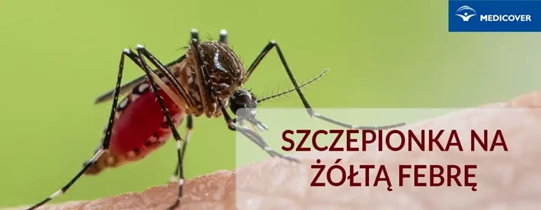 szczepienie żółta febra