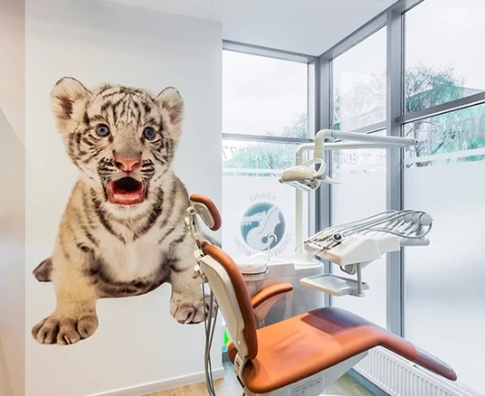 Stomatologia Medicover Kraina Zdrowego Uśmiechu Barczewskiego