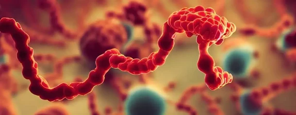 co-powoduje-wirus-ebola